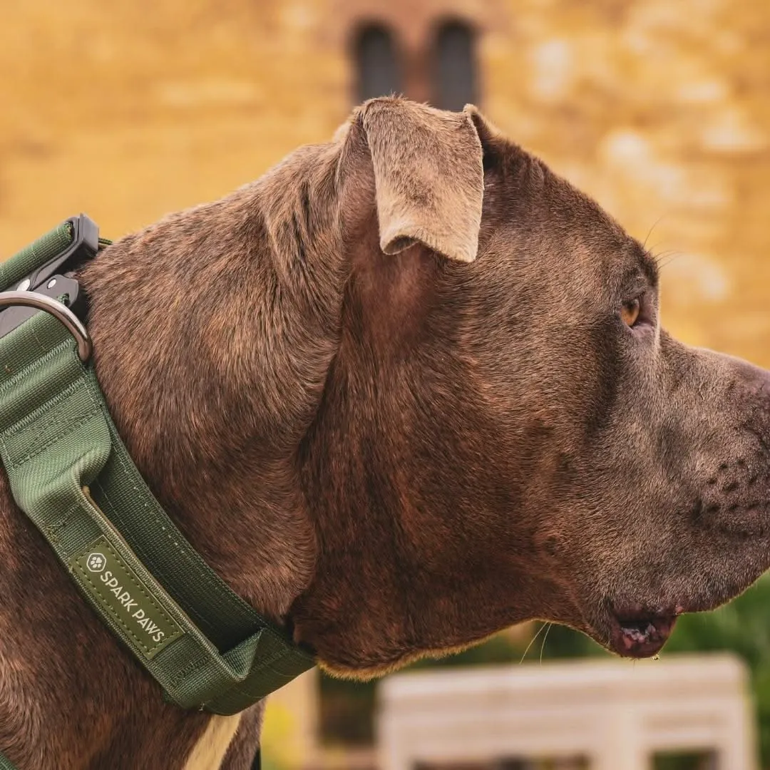 Comfort Control Collar Set - Army Green