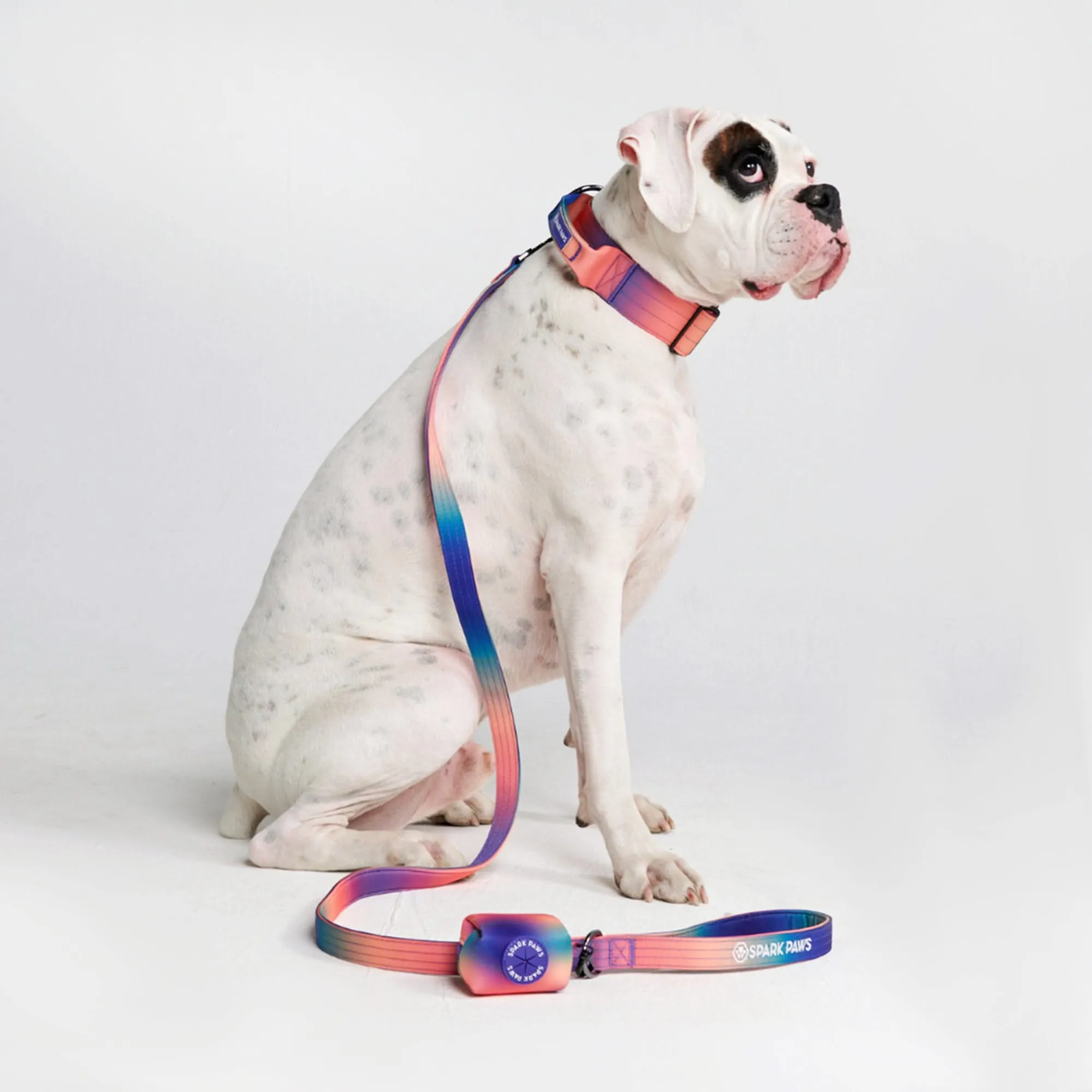 Comfort Control Collar Set - Kaleidoscope