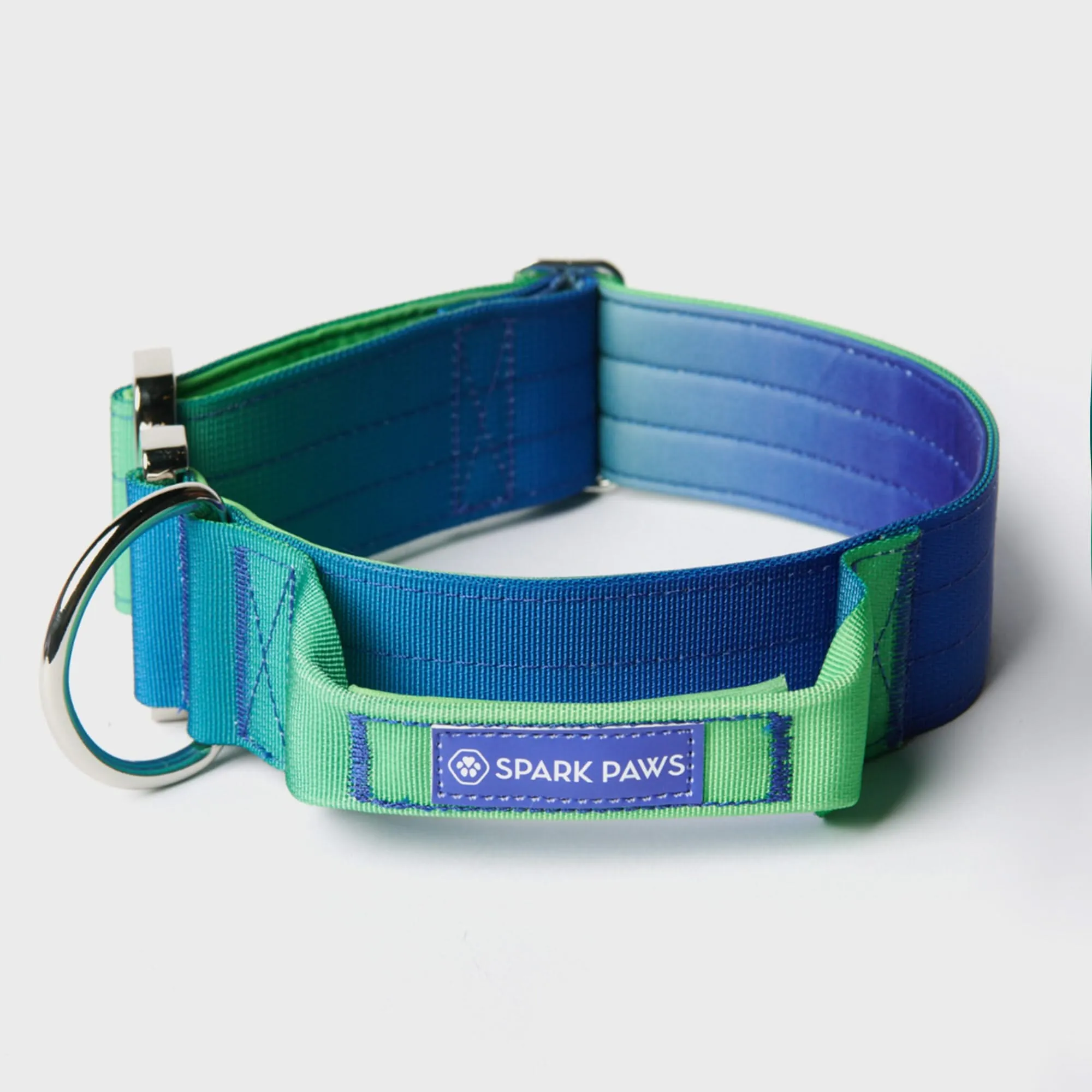 Comfort Control Collar Set - Lime Wave