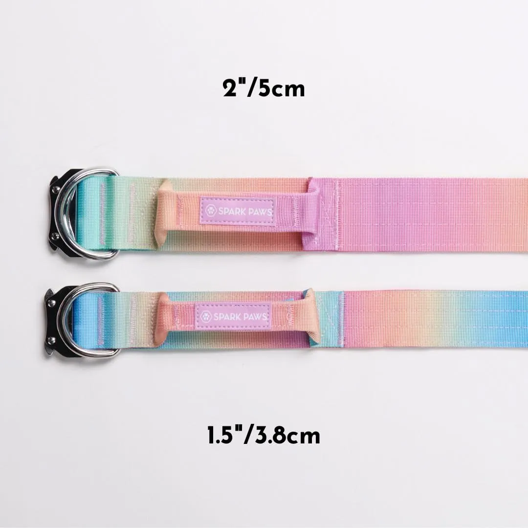 Comfort Control Collar Set - Pastel Icing