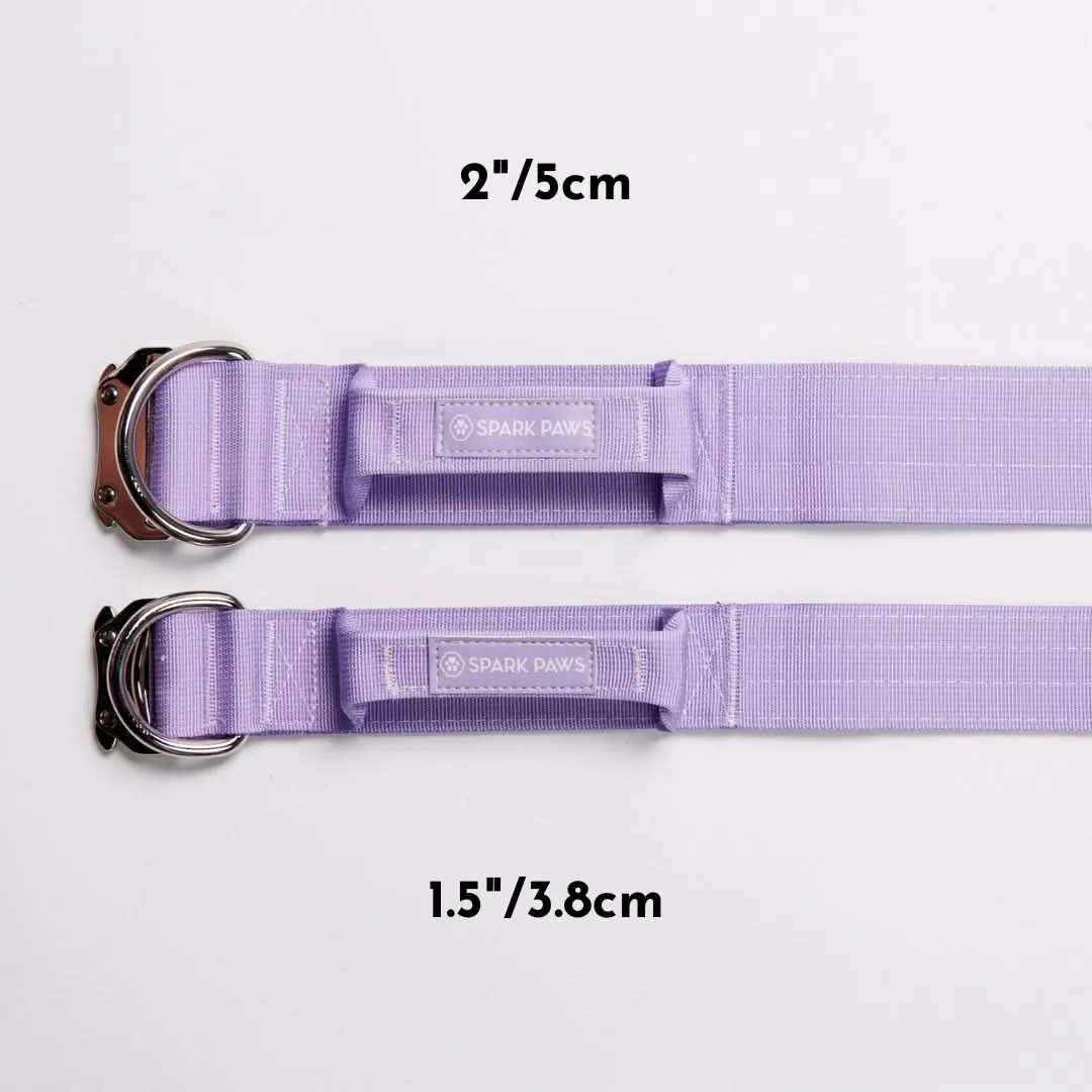 Comfort Control Dog Collar Sets