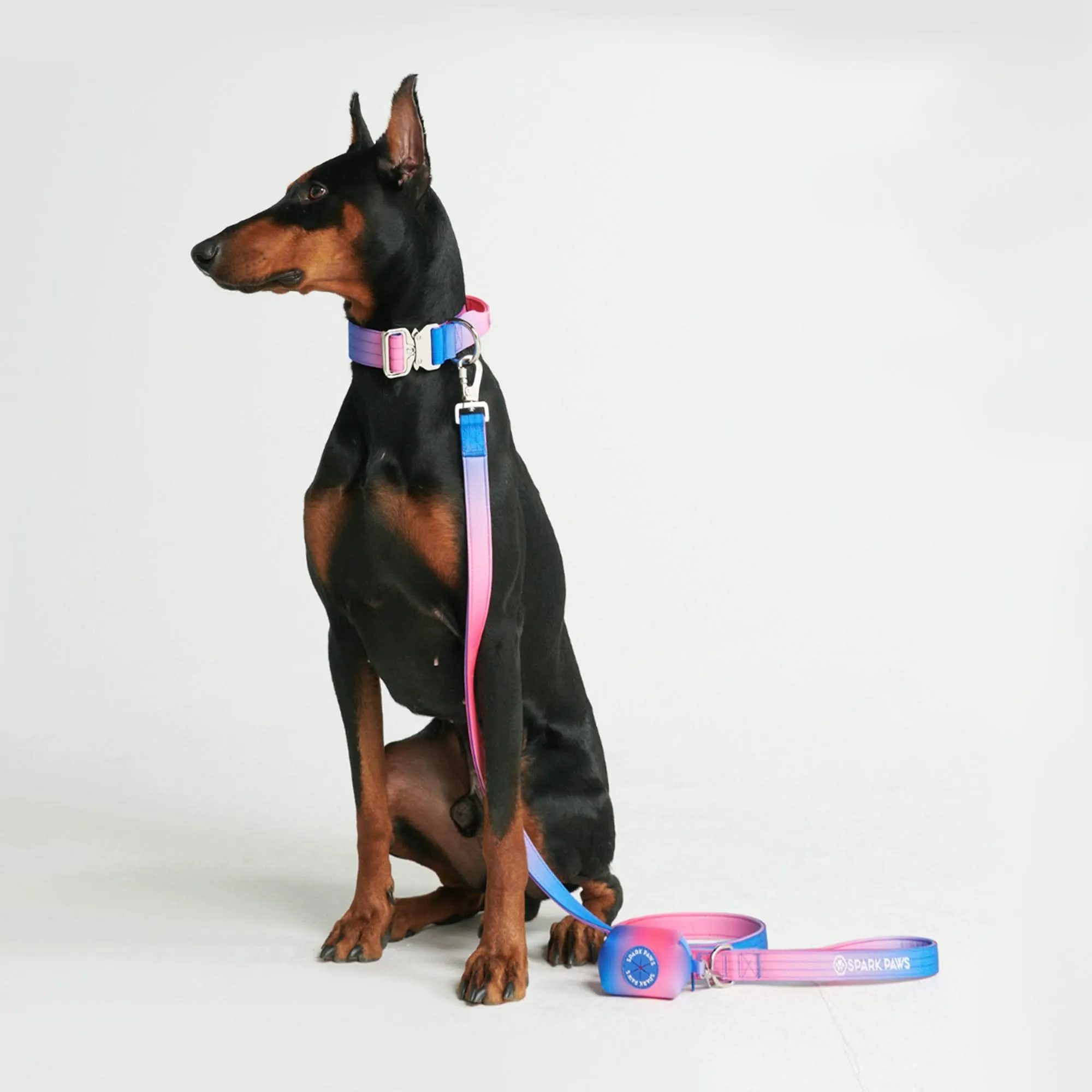 Comfort Control Dog Collar Sets