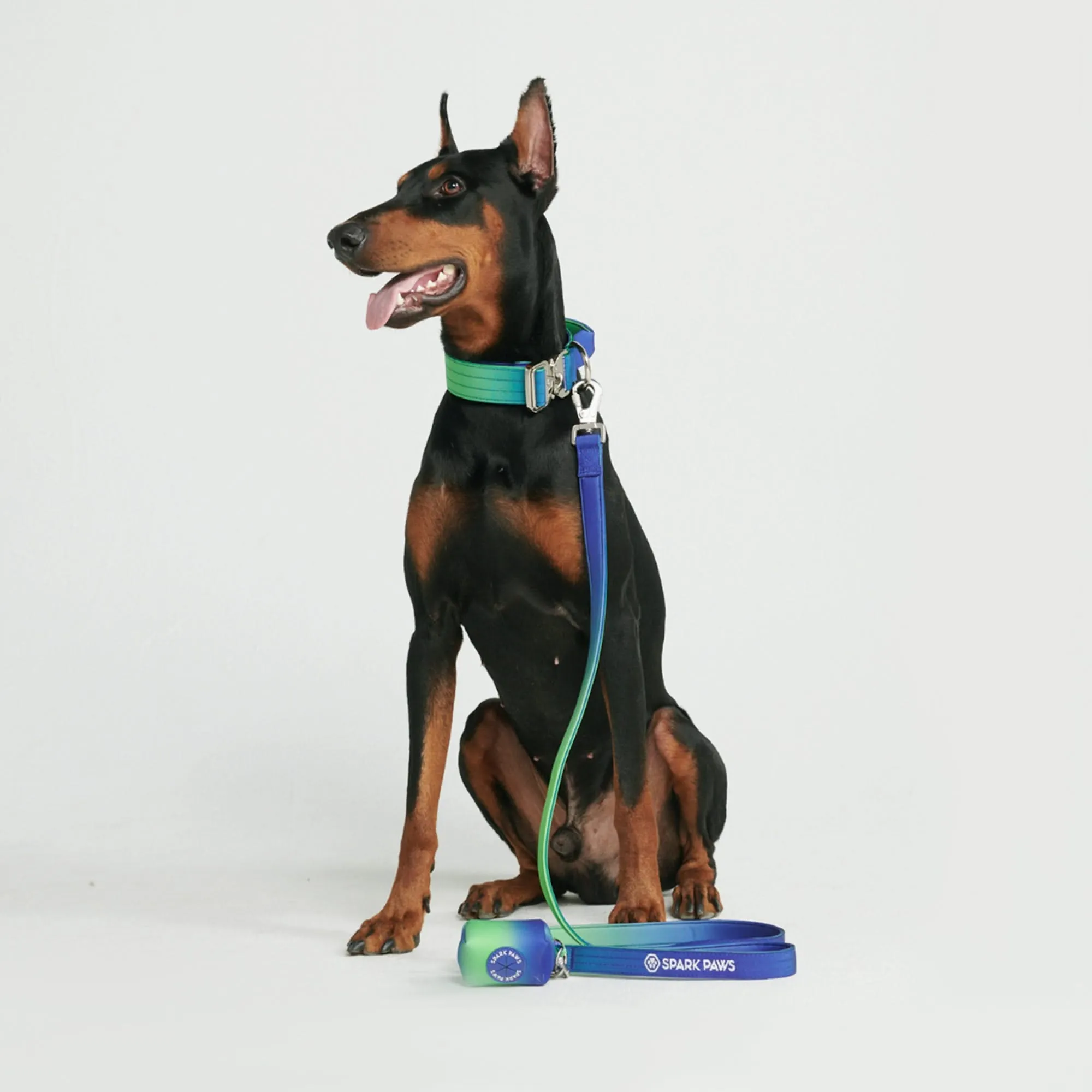 Comfort Control Dog Collar Sets