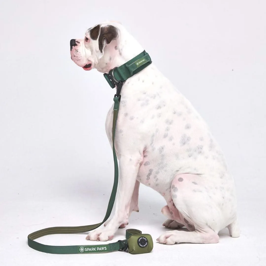 Comfort Control Dog Collar Sets