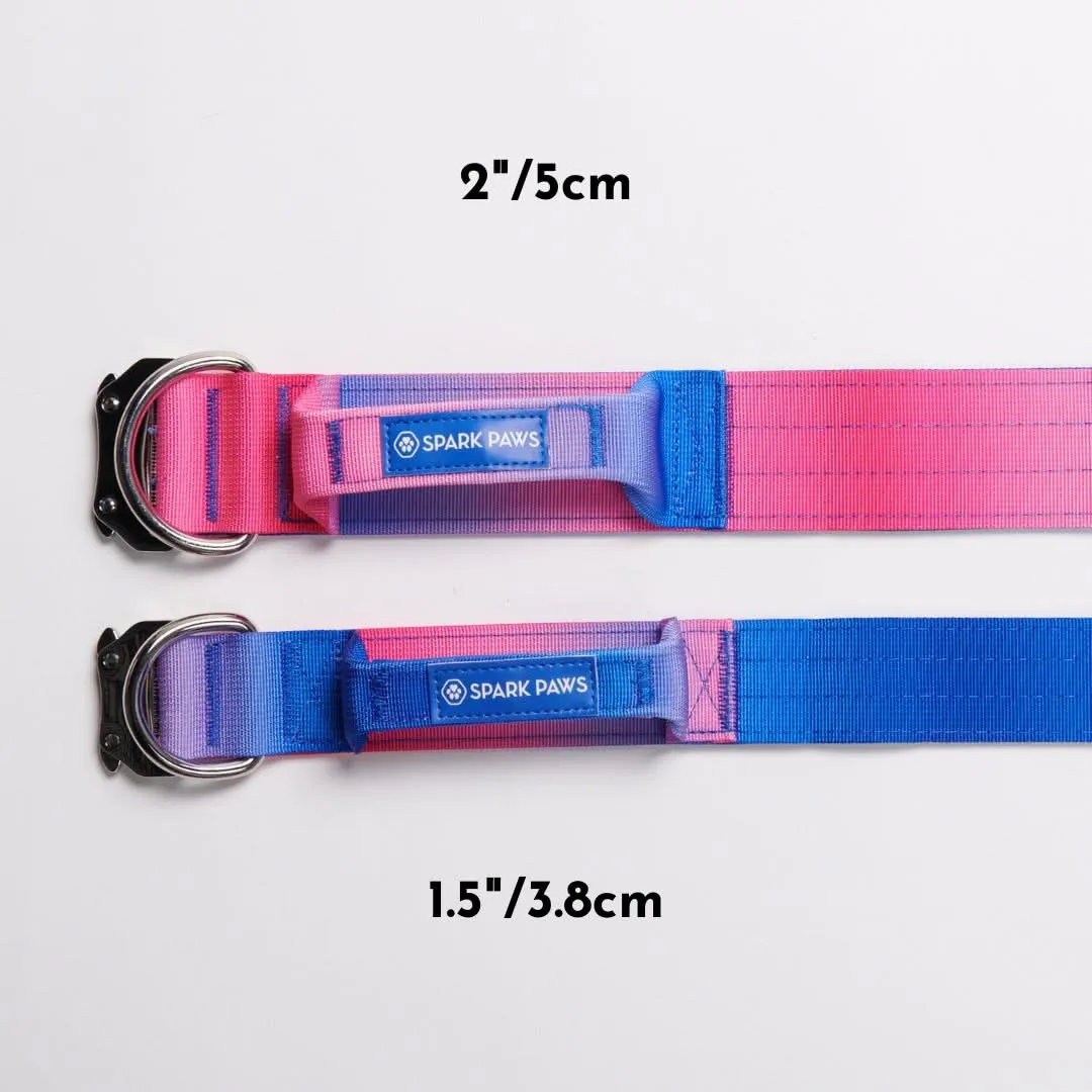 Comfort Control Dog Collar Sets