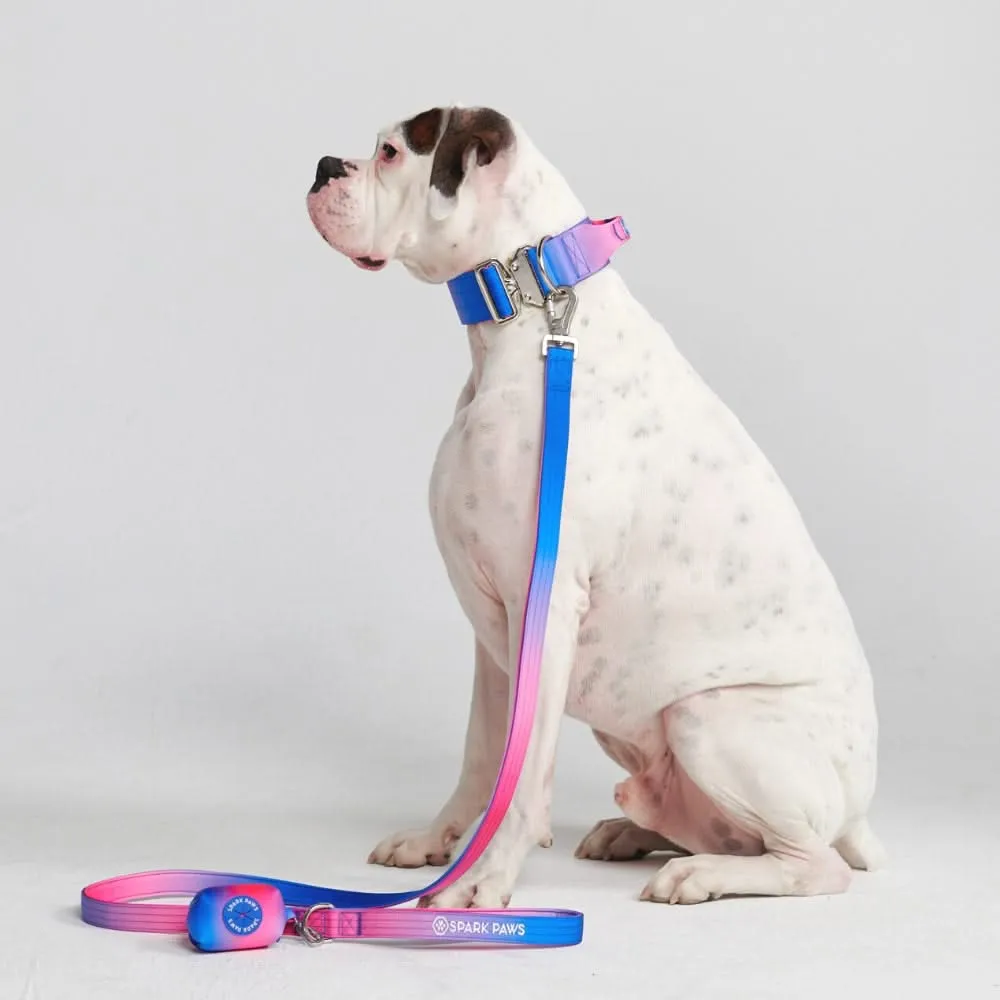 Comfort Control Dog Collar Sets