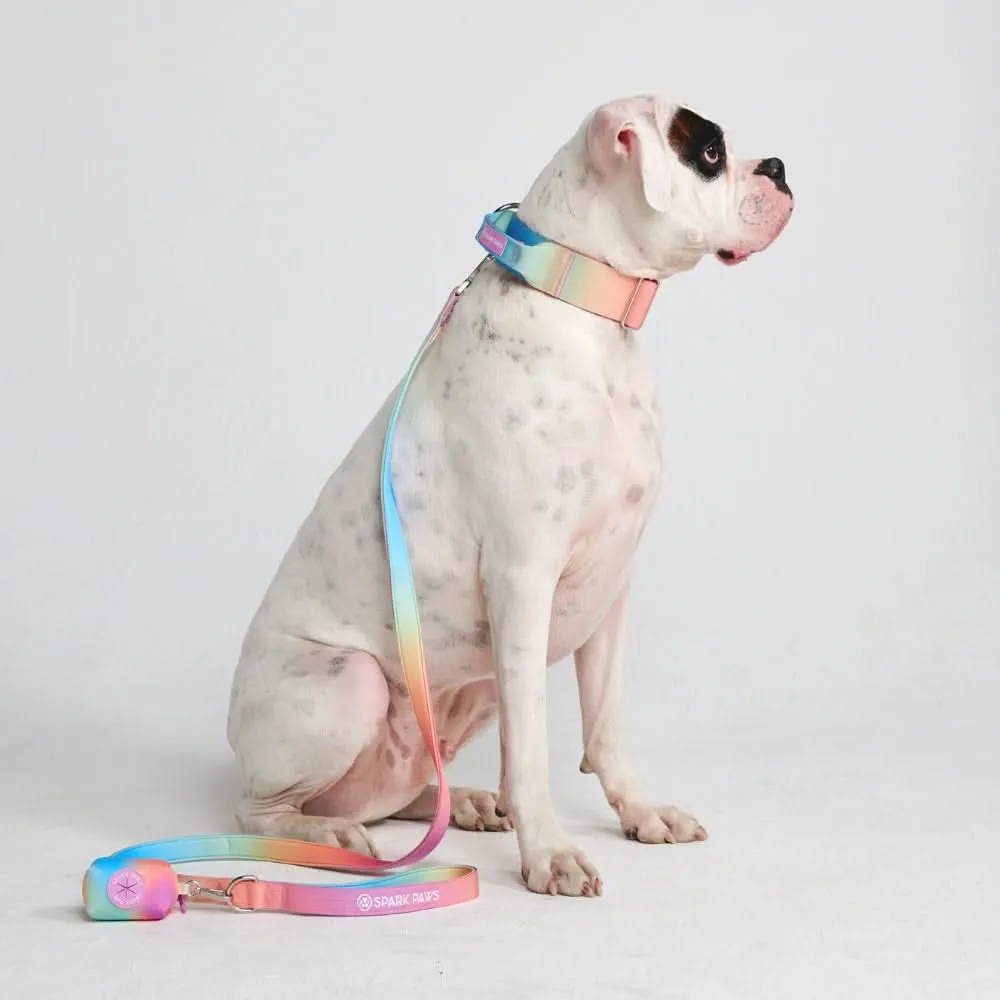 Comfort Control Dog Collar Sets