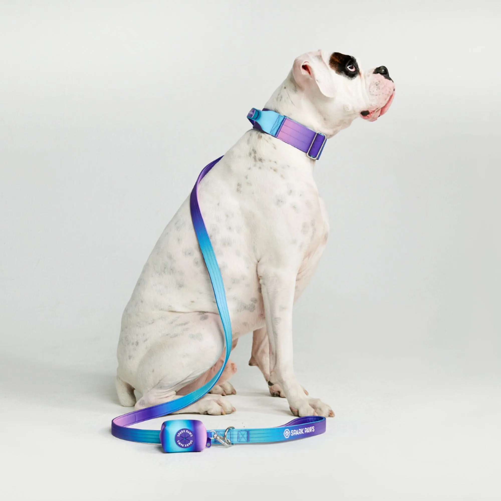 Comfort Control Dog Collar Sets