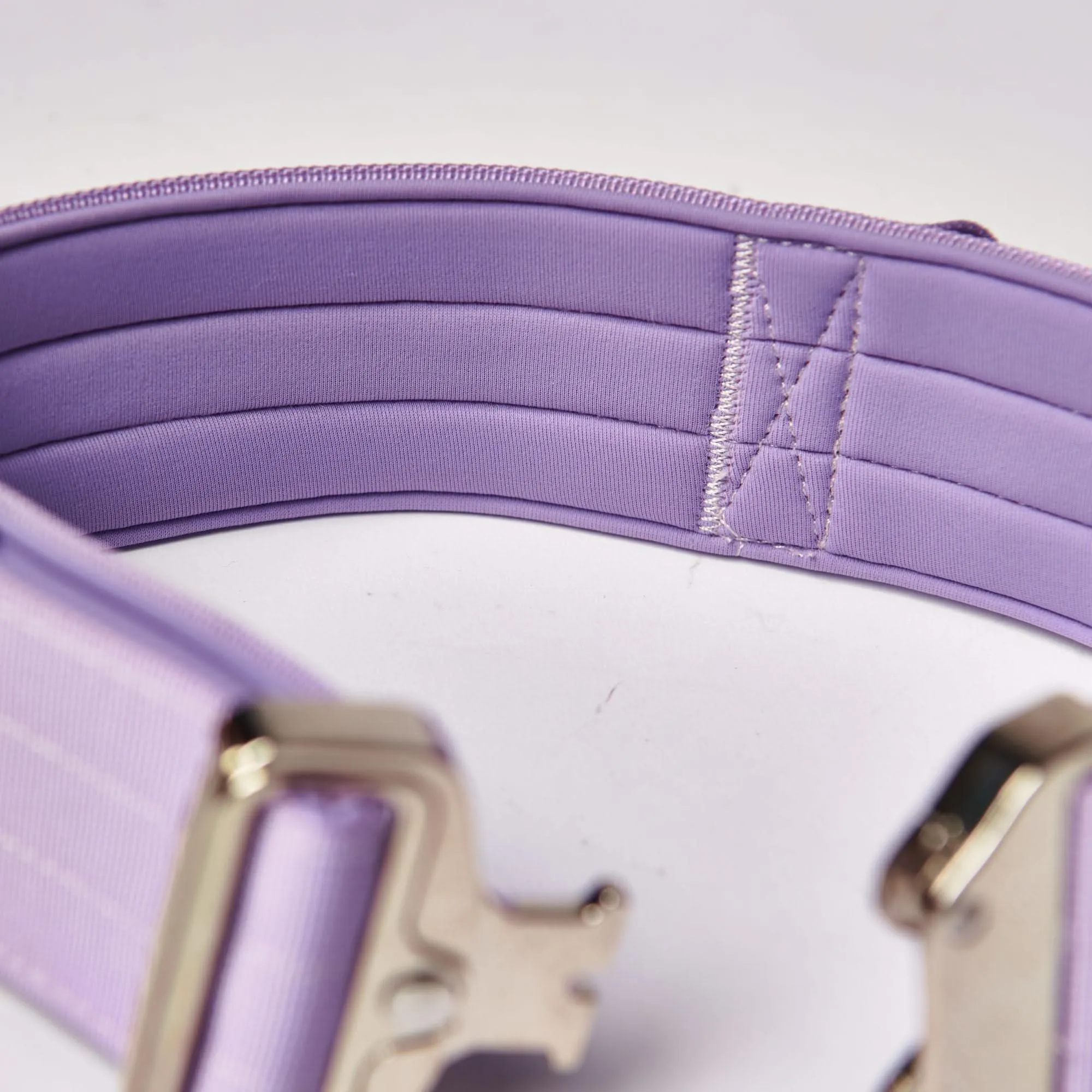 Comfort Control Dog Collar Sets