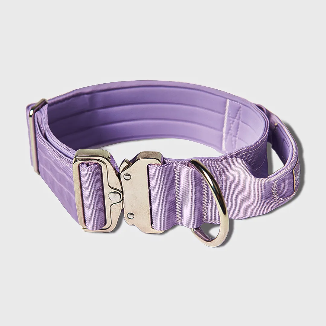 Comfort Control Dog Collar Sets