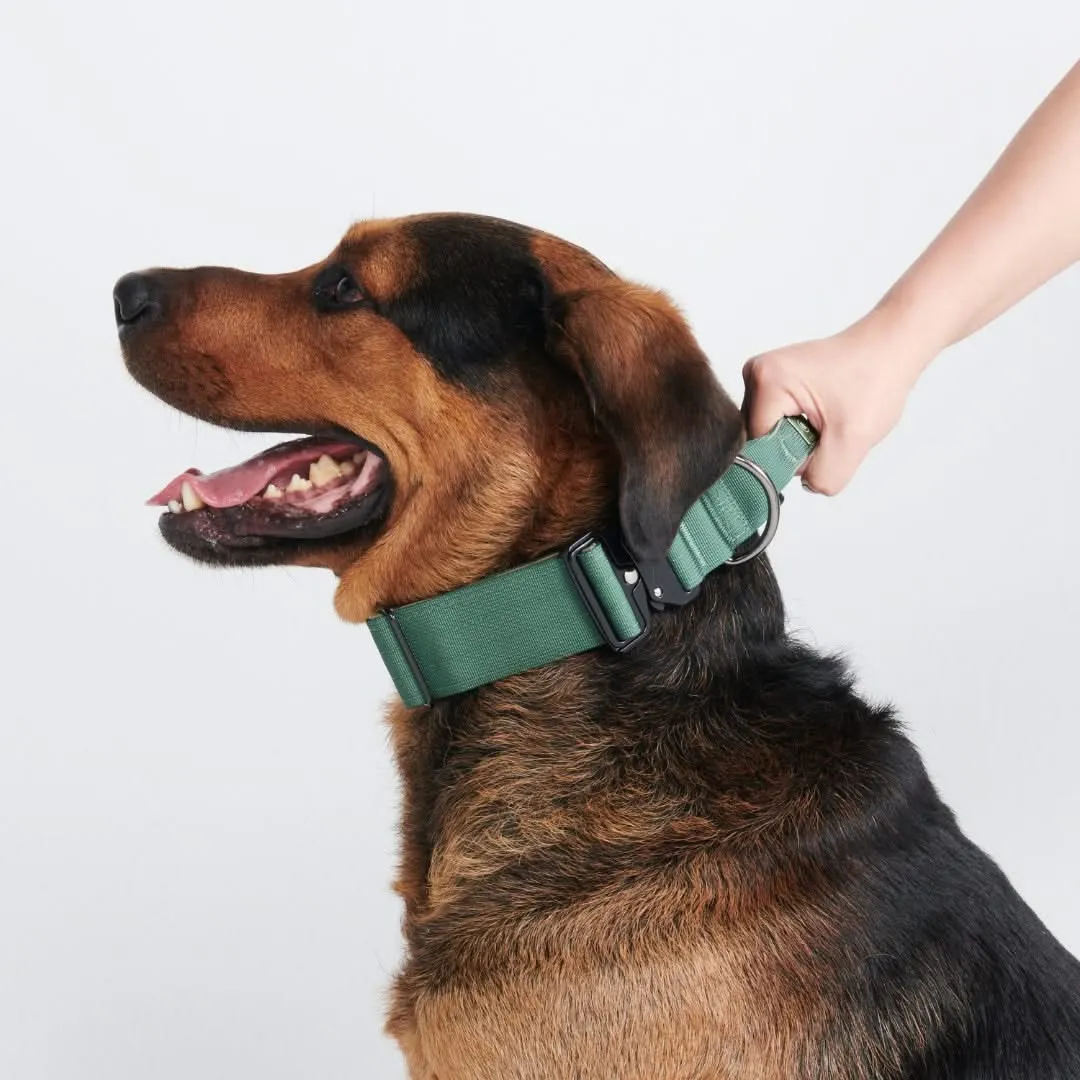 Comfort Control Dog Collar Sets