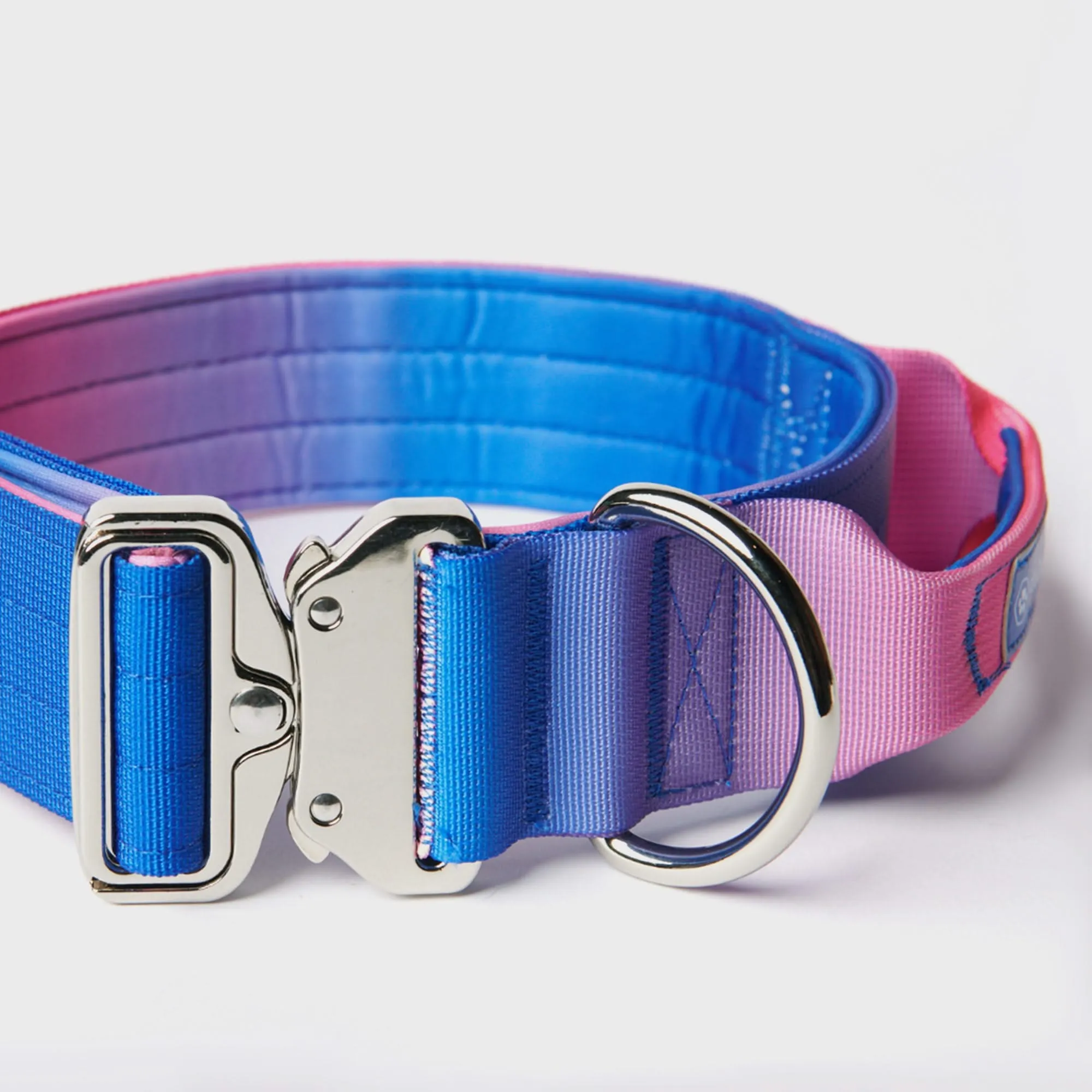 Comfort Control Dog Collar Sets