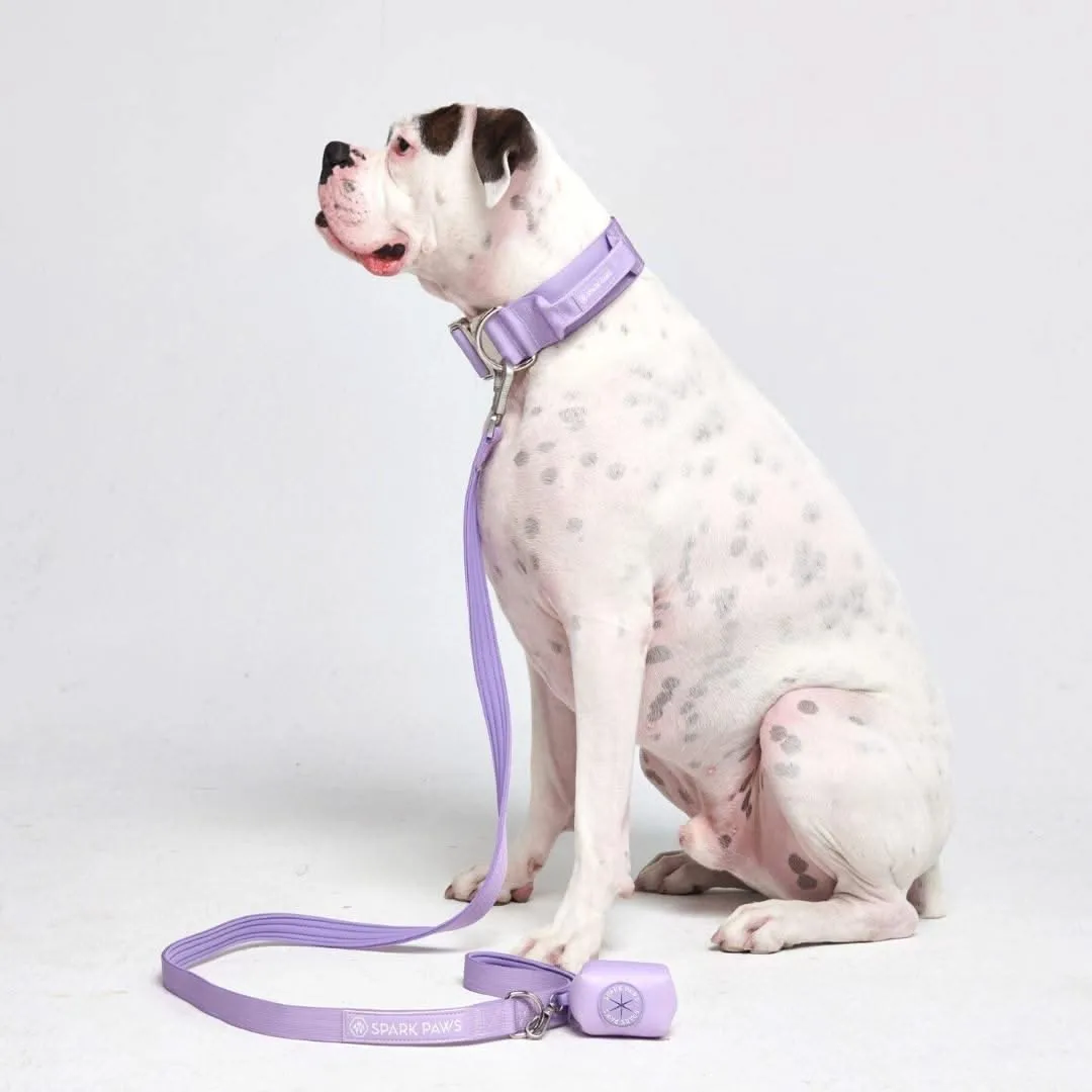 Comfort Control Dog Collar Sets