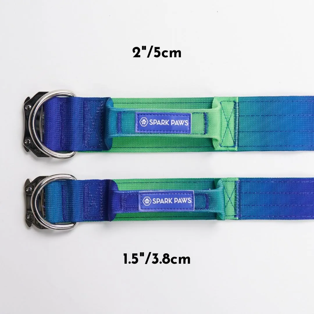 Comfort Control Dog Collar Sets