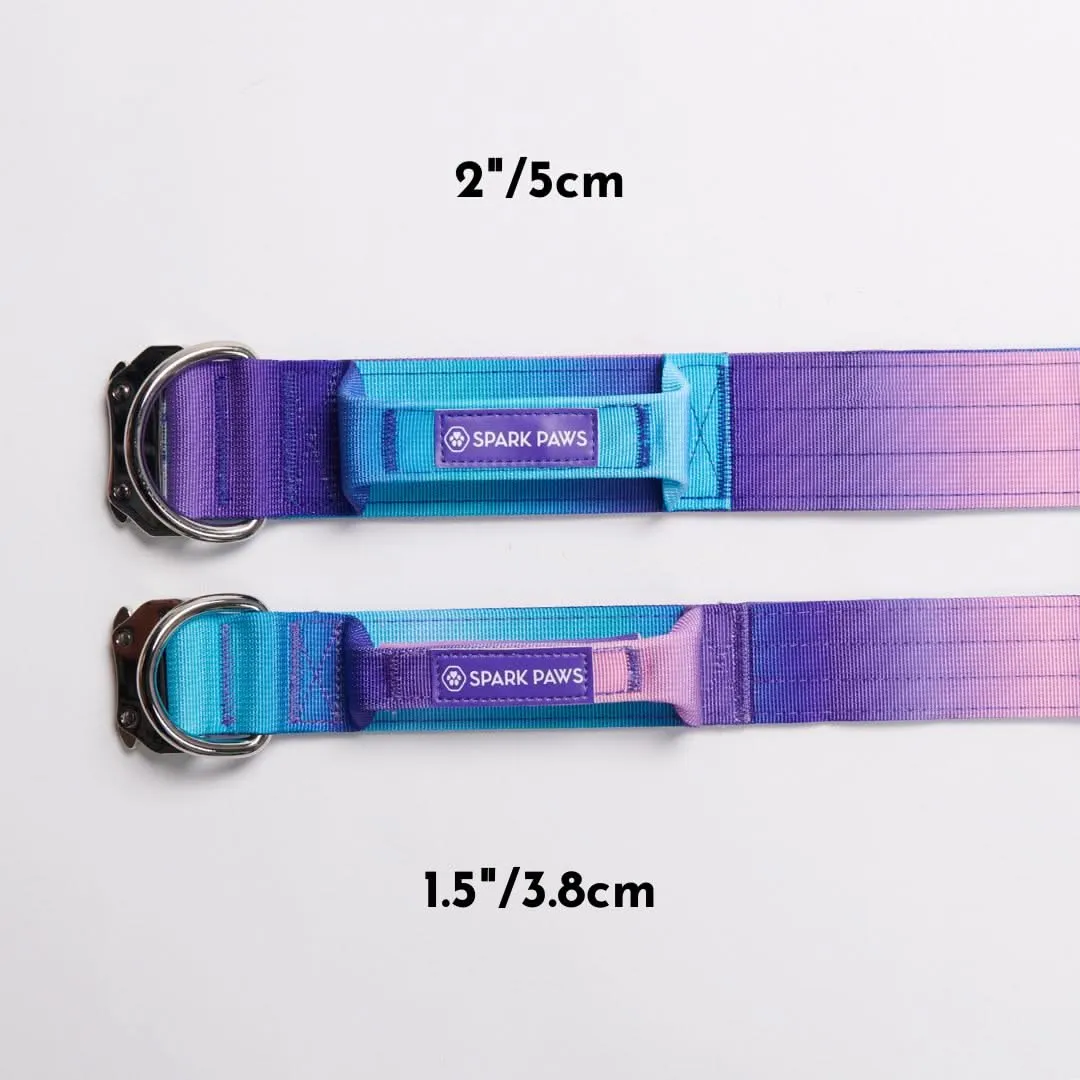 Comfort Control Dog Collar Sets