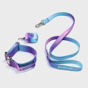 Comfort Control Dog Collar Sets