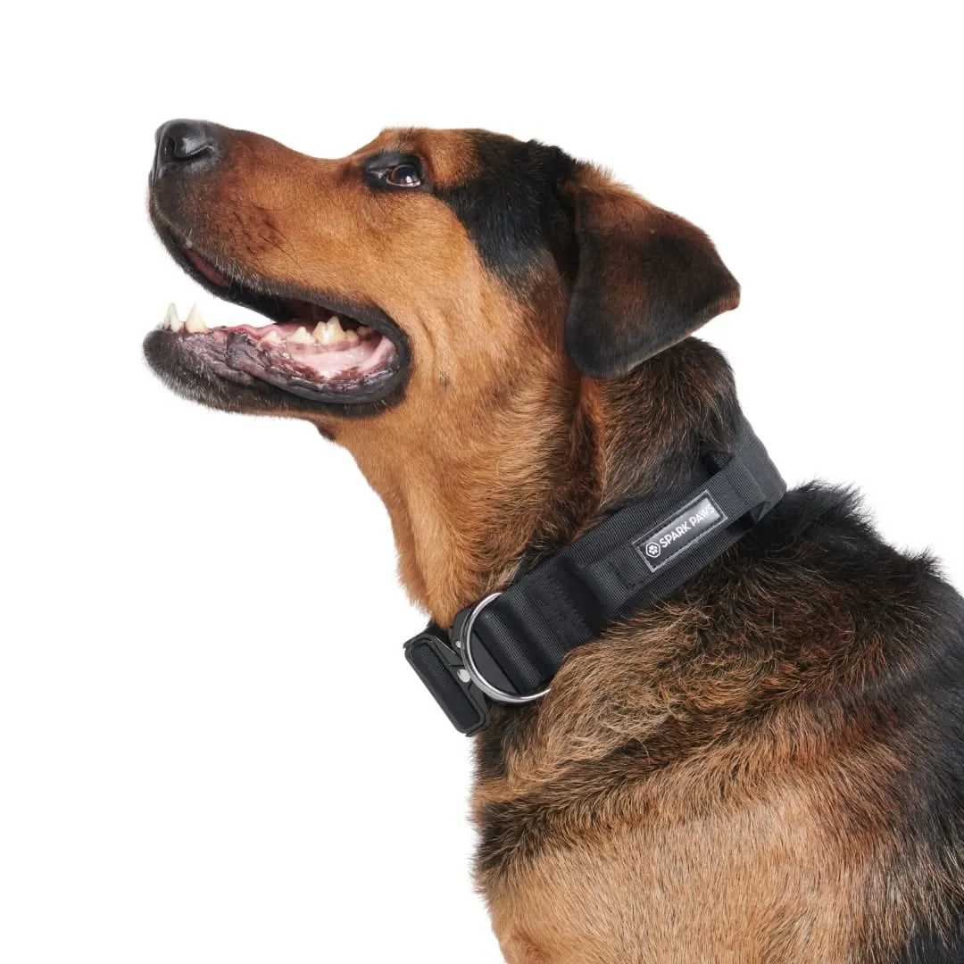 Comfort Control Dog Collar Sets