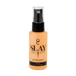 Dreamsicle - Slay All Day Setting Spray Mini