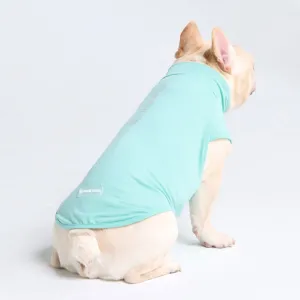 Sunblock Dog T-Shirt - Aqua