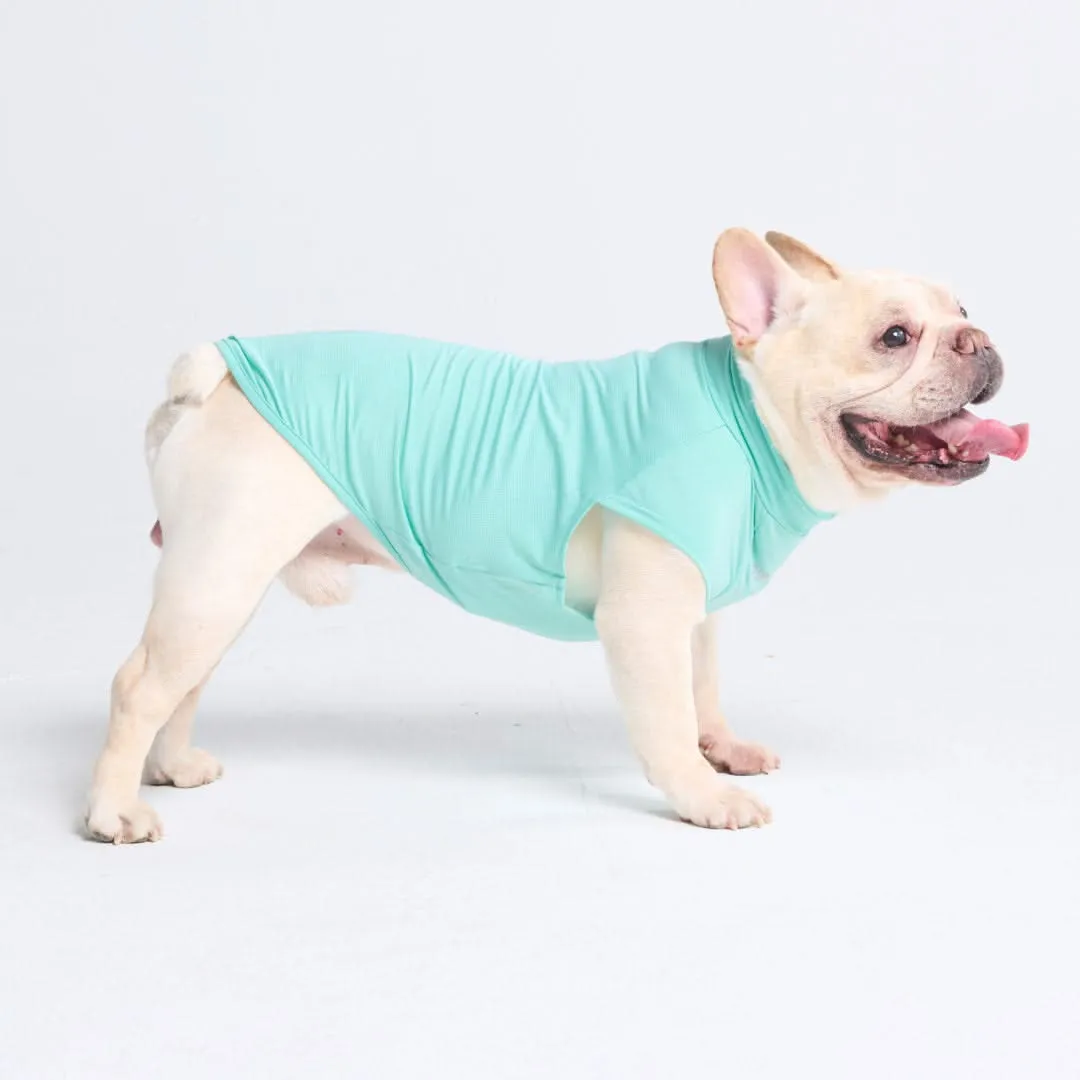 Sunblock Dog T-Shirt - Aqua