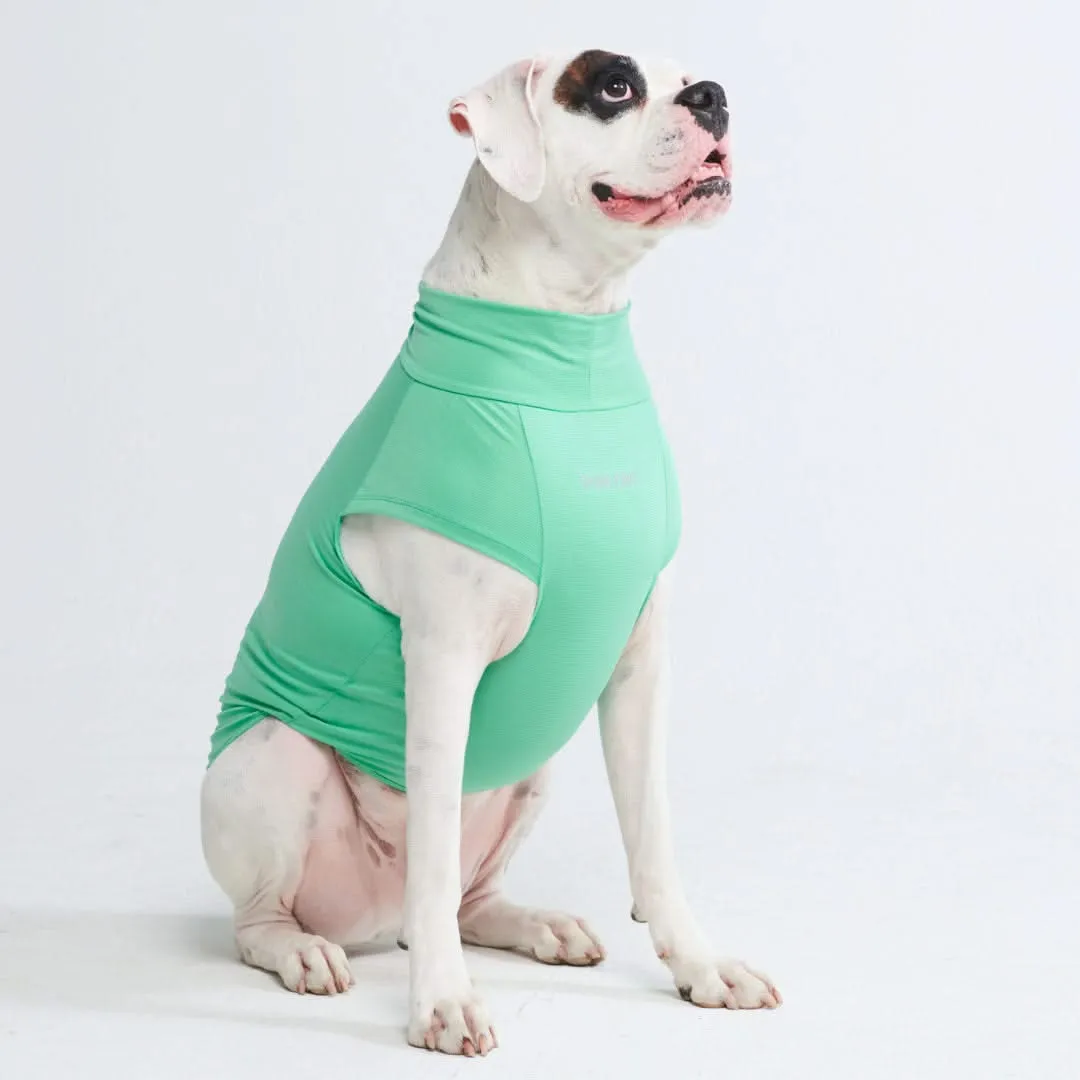 Sunblock Dog T-Shirt - Mint